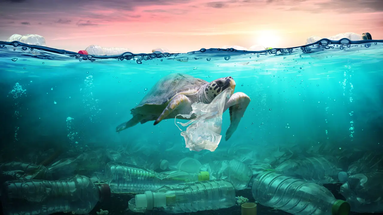 Planet vs. plastics: solutions to end pollution 