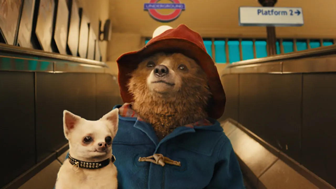Paddington and loving your neighbour