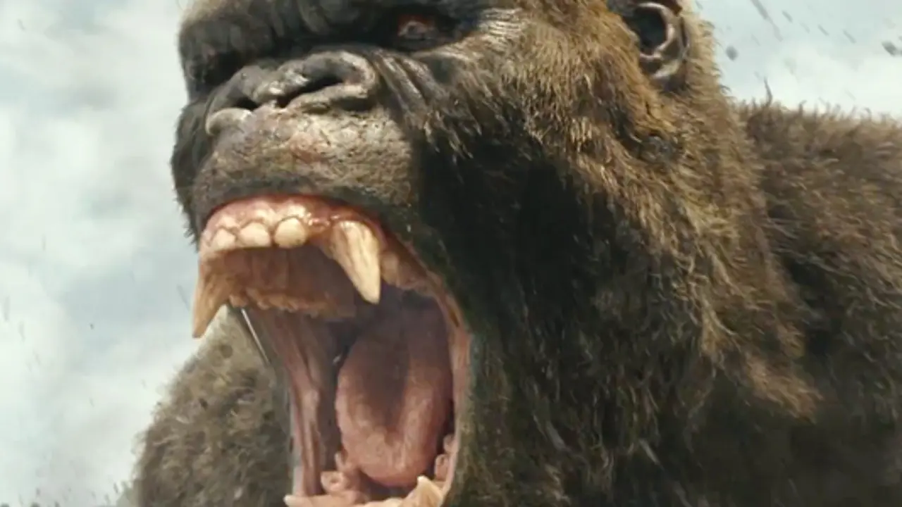 King hit for new Kong?