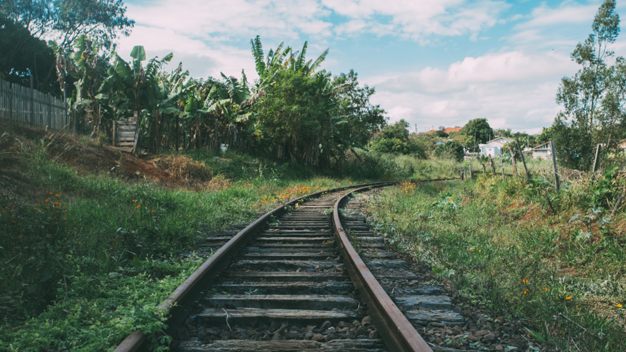 Living Untethered and the Golden Spurtle