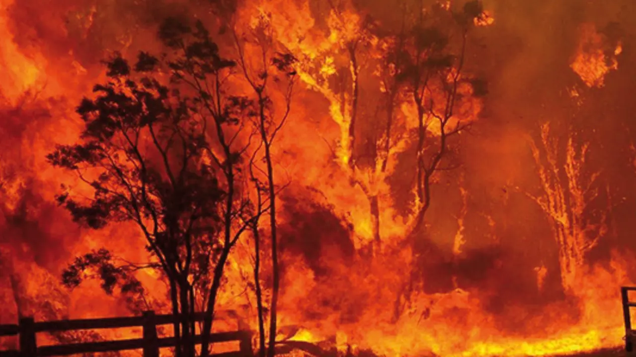 Prayer and donations sought for bushfire victims
