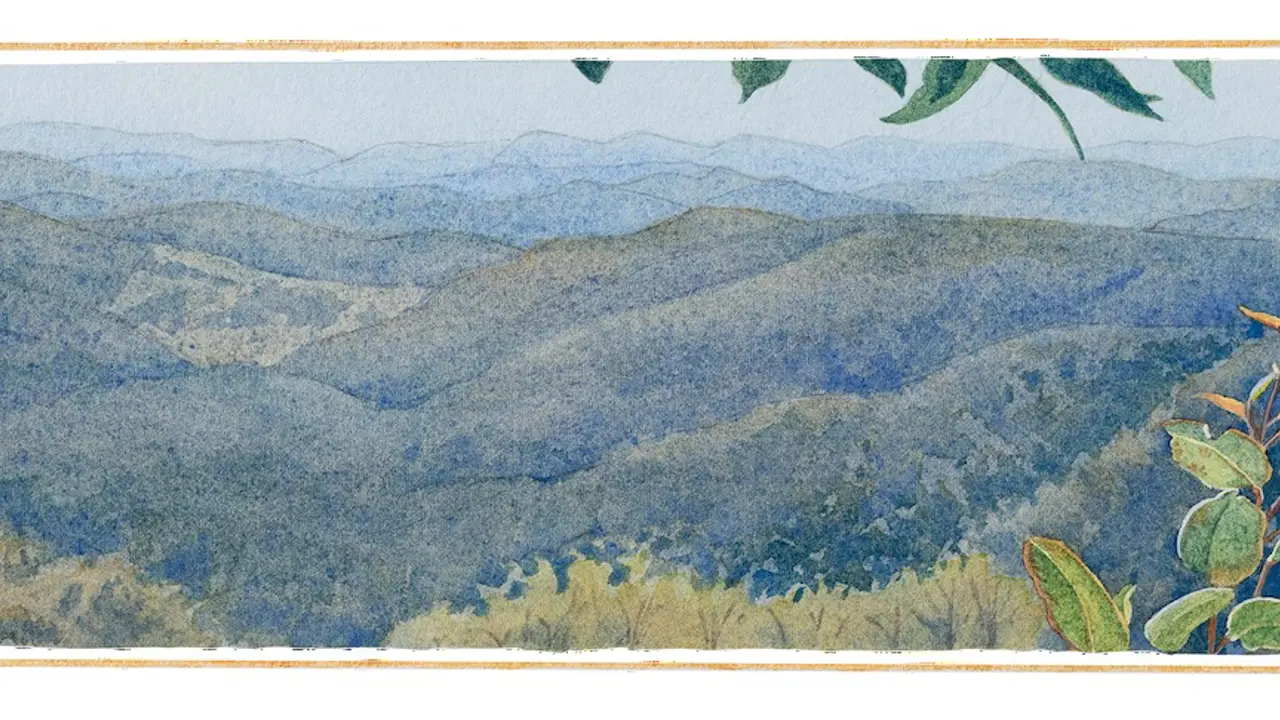 Psalms Illuminated