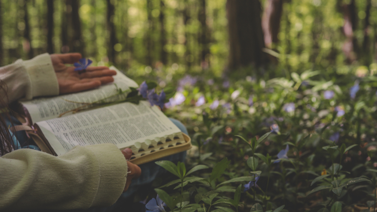 Lectio Divinia Or How Unhurried Attention Can Shape Our Faith