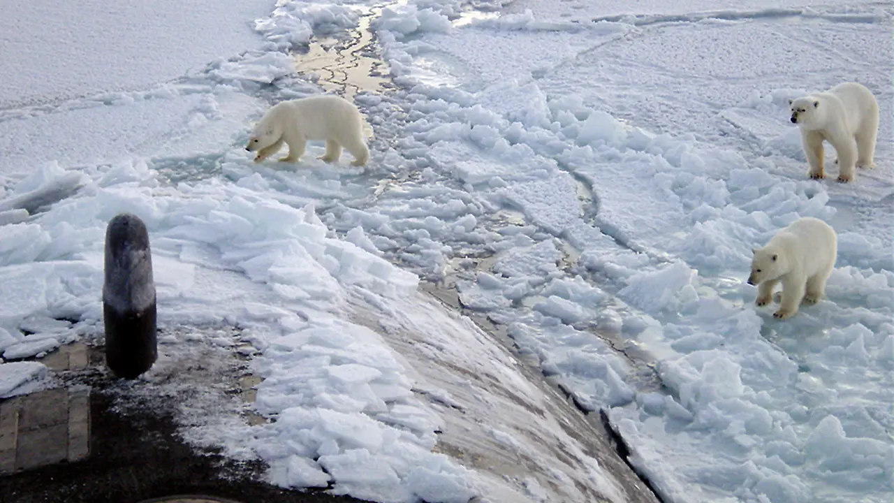 Climate anxiety: from feeling powerless to taking action