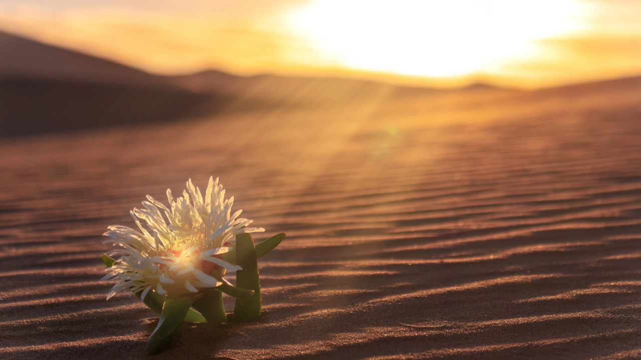 December: Trusting the God of Tomorrow 