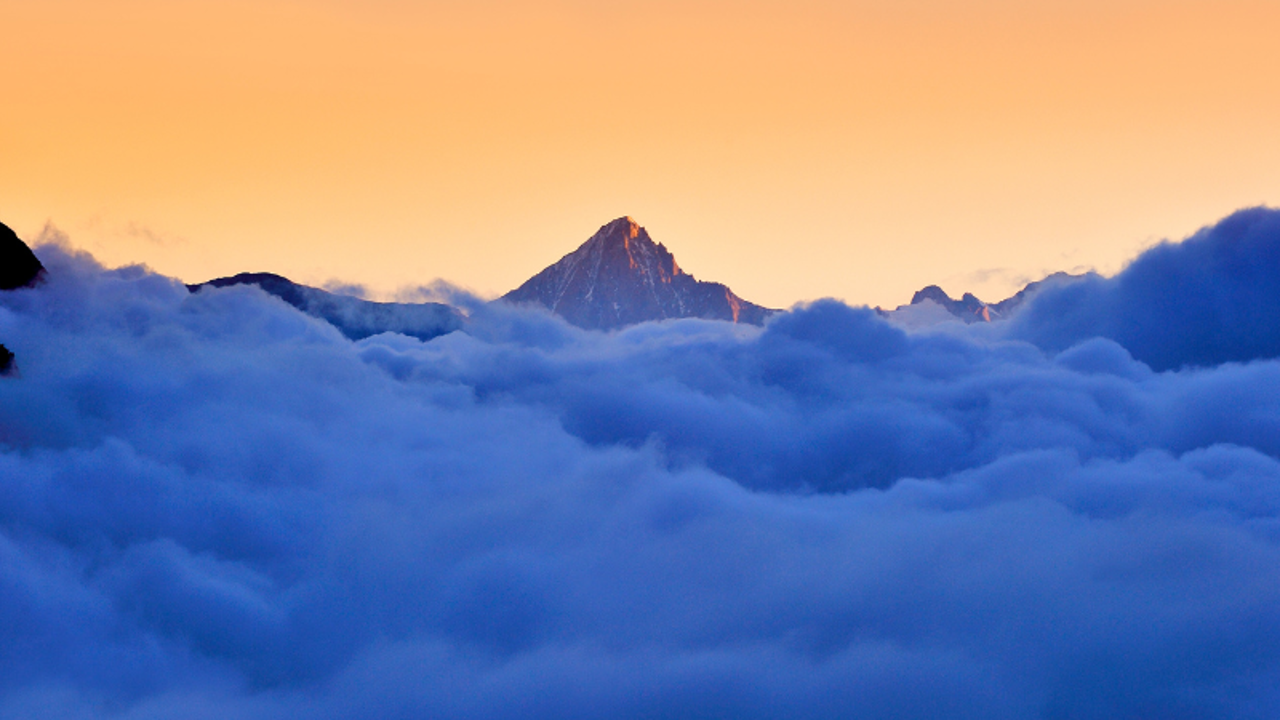 February: From Mountain to Wilderness 