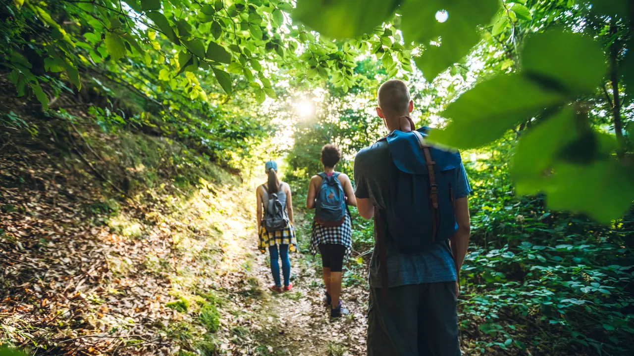 The wilderness is part of the journey