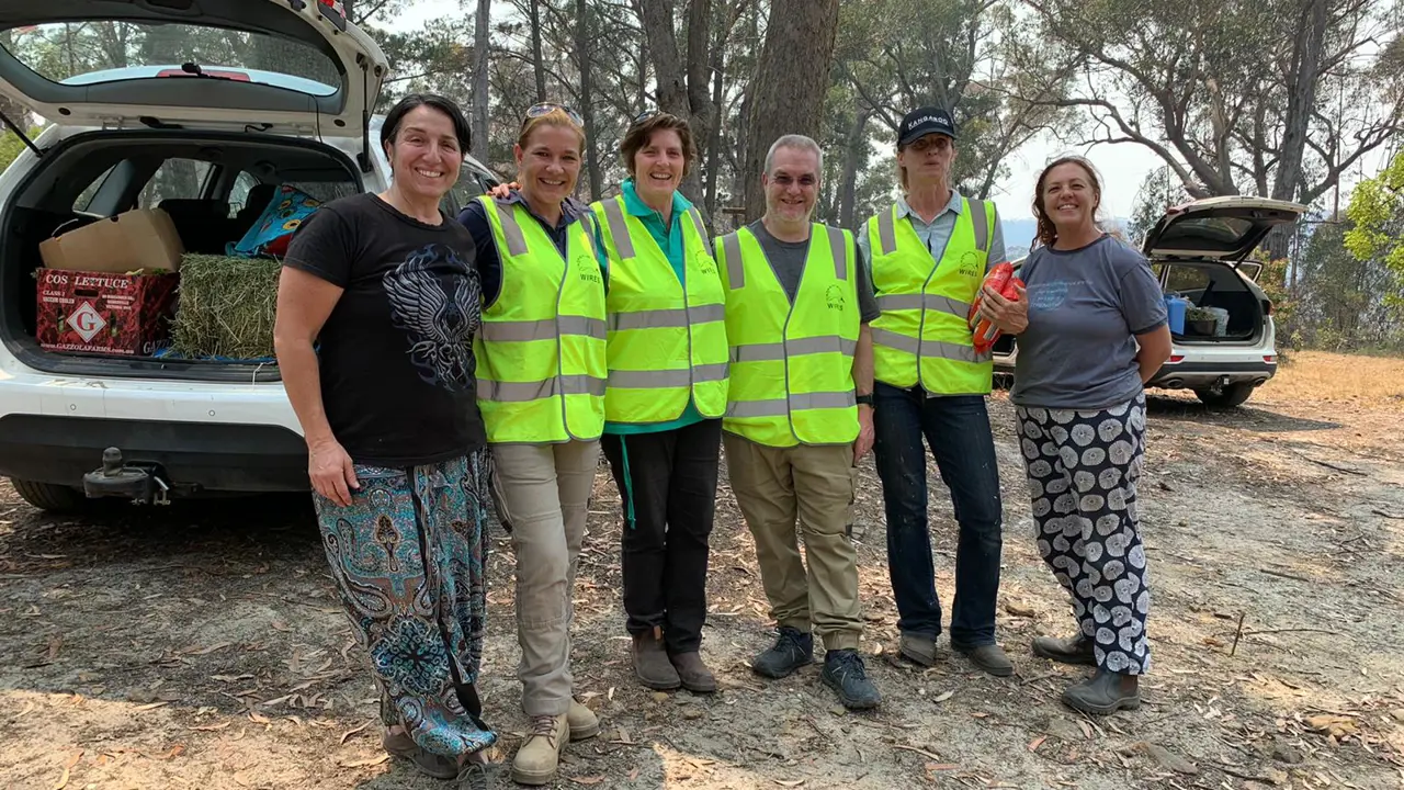 Faith, wildlife recovery and COVID