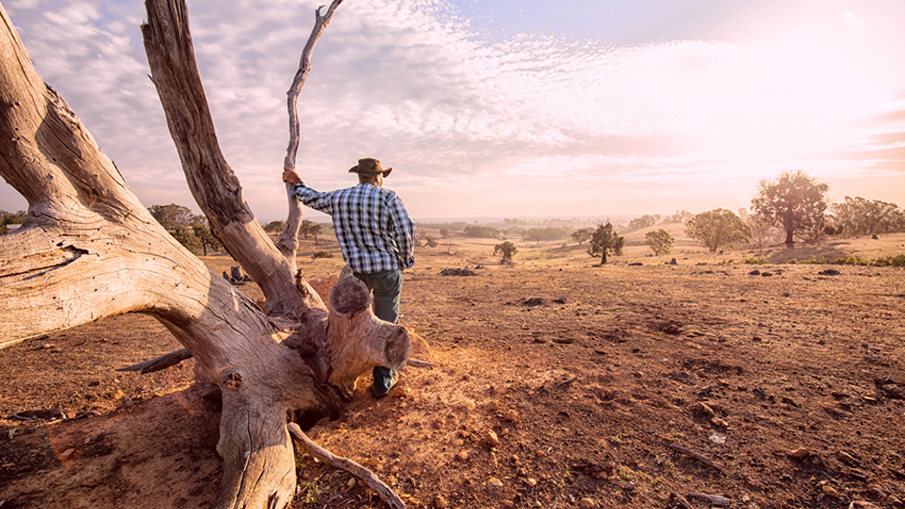 Warm summer predicted as bush fire season officially commences