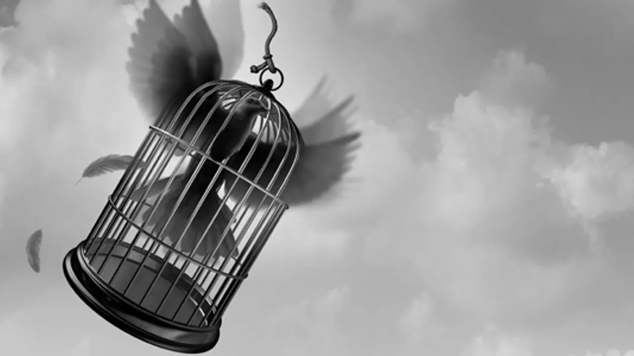 What Christians Mean By “Freedom”
