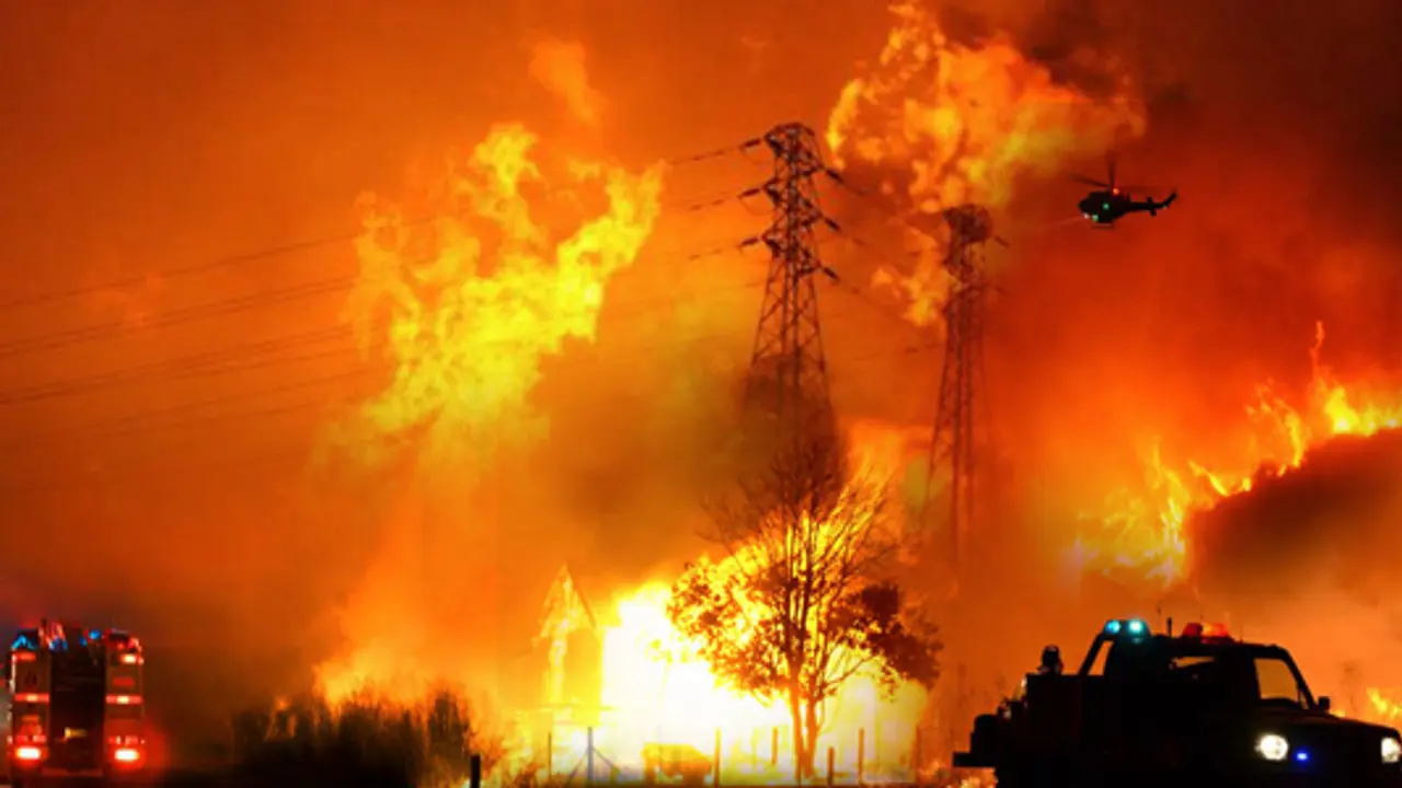President launches National Bushfires Appeal