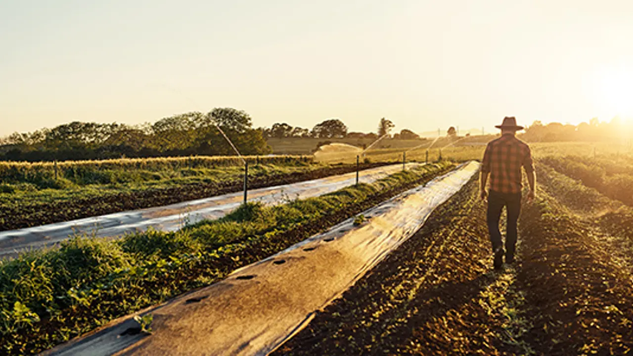 A timely calling into lay preaching