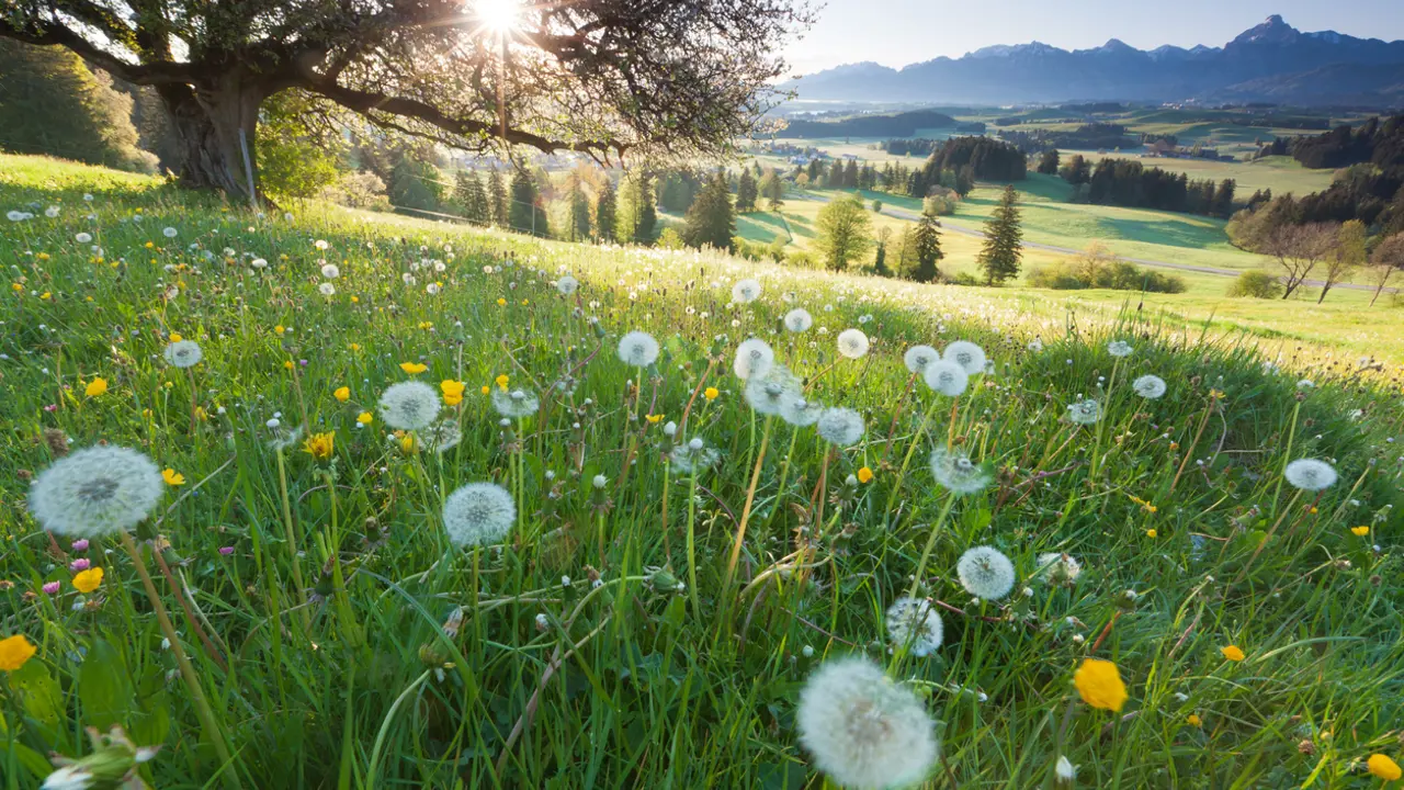 May: God calls us back to faith and life