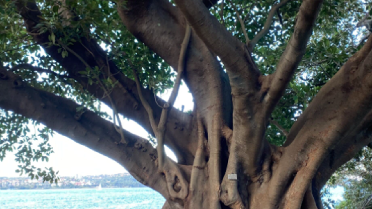 Personal Things I Learned While Church Planting 