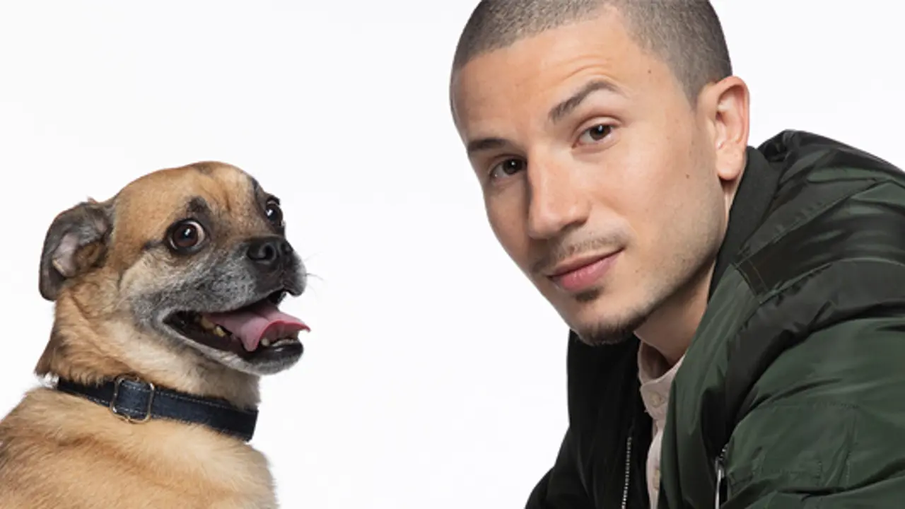 Dog bite sized comedy