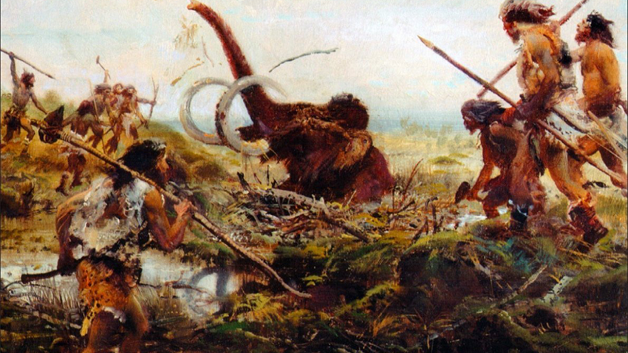 The Origins Of Humanity