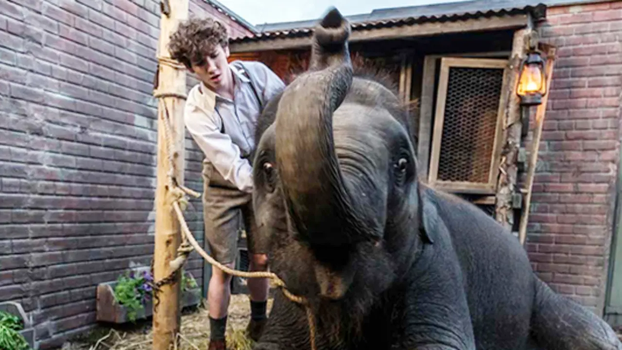 A small film that animal lovers will love