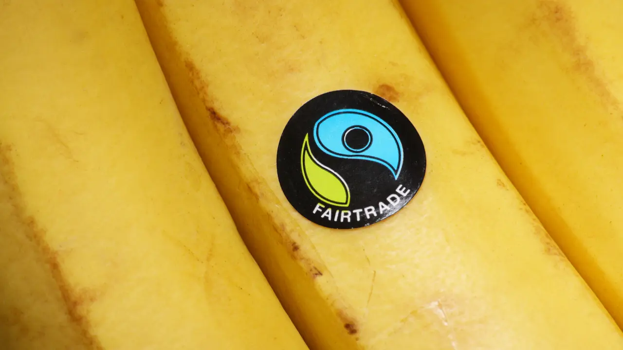 Supporting Fair Trade