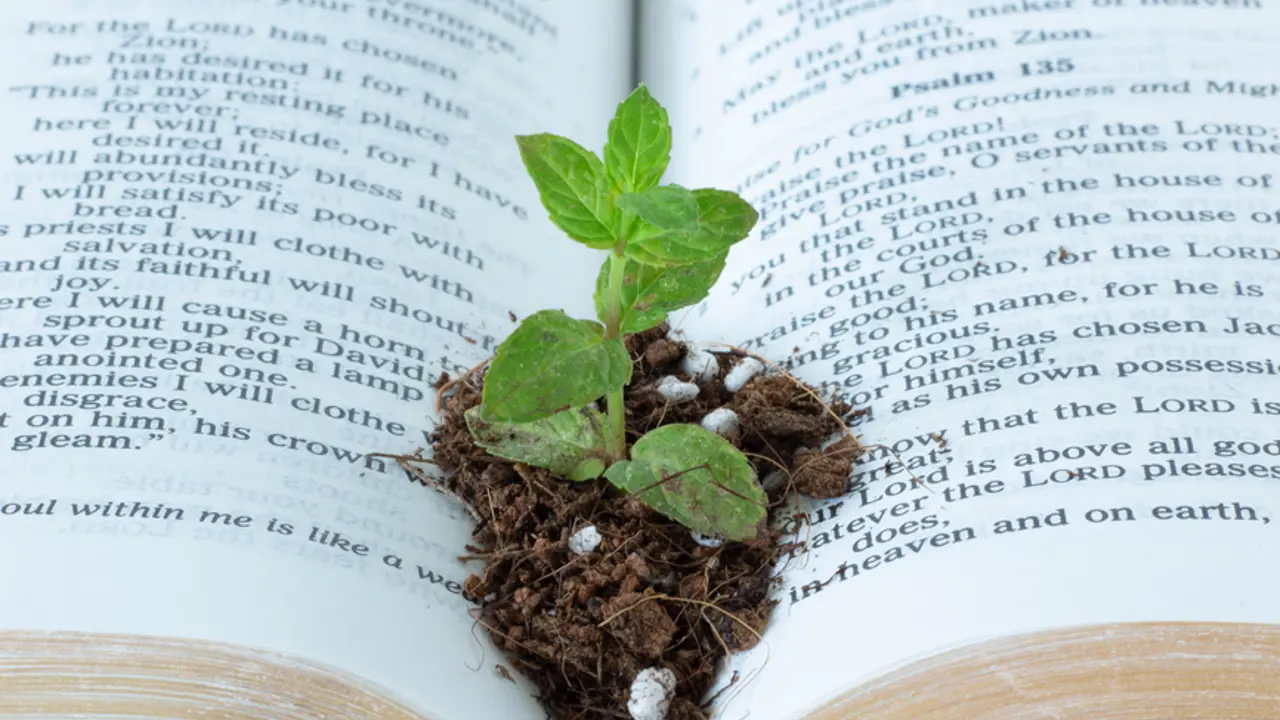Church planting: The work of the Spirit