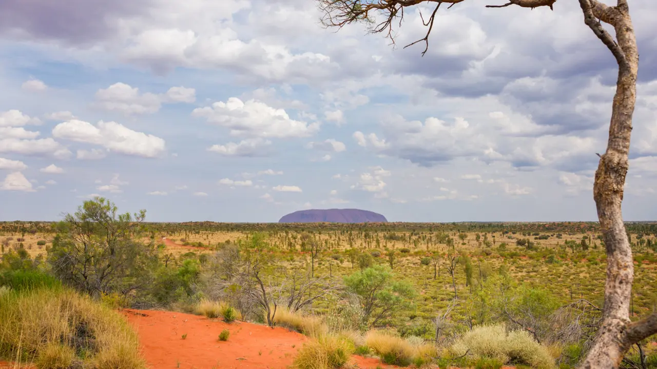 Journey to the centre