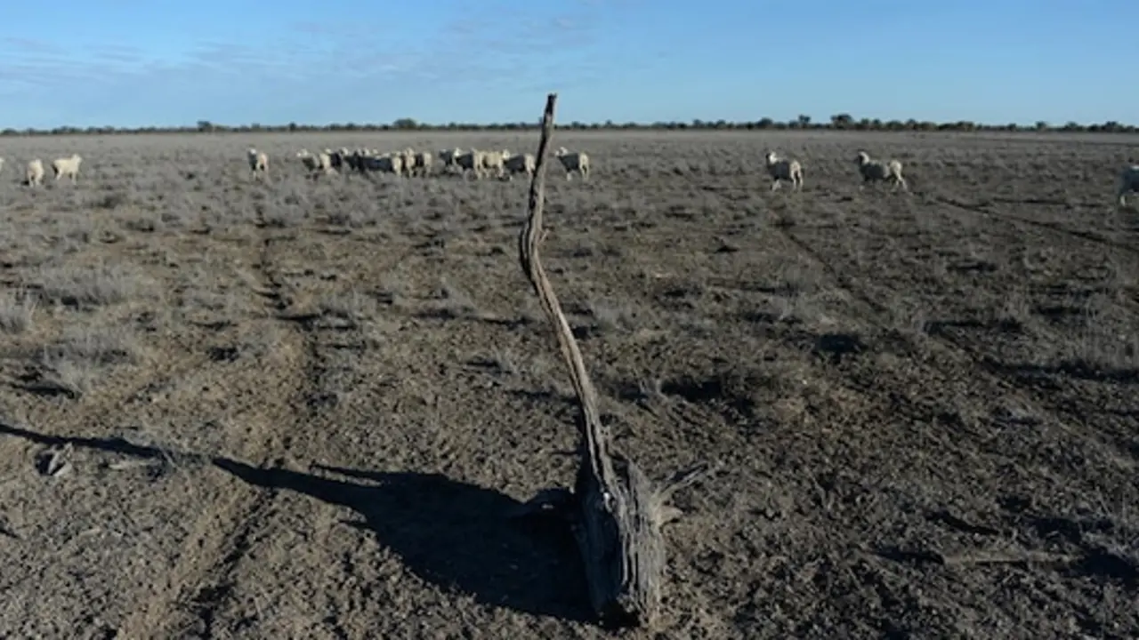 Reflecting on the drought in NSW