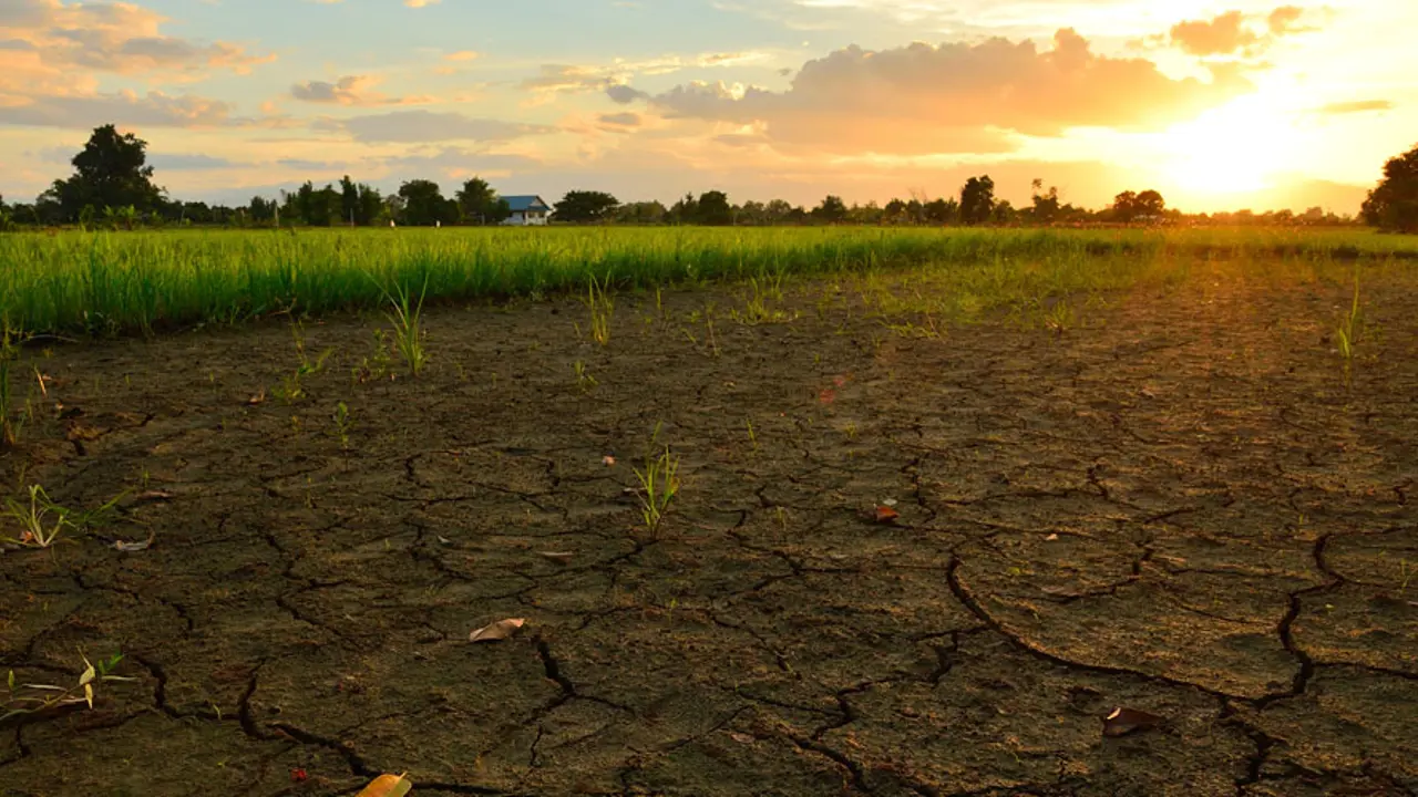 Climate change: Is there any hope?