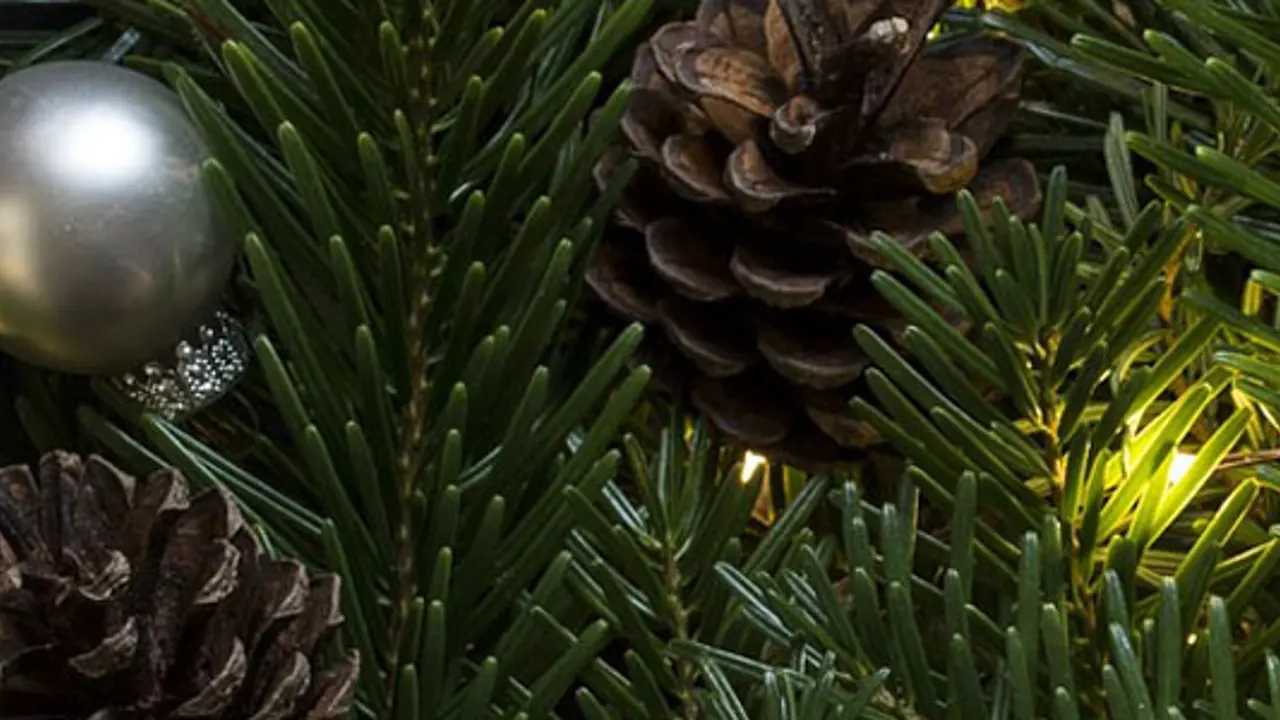 Is Christmas A Pagan Festival?