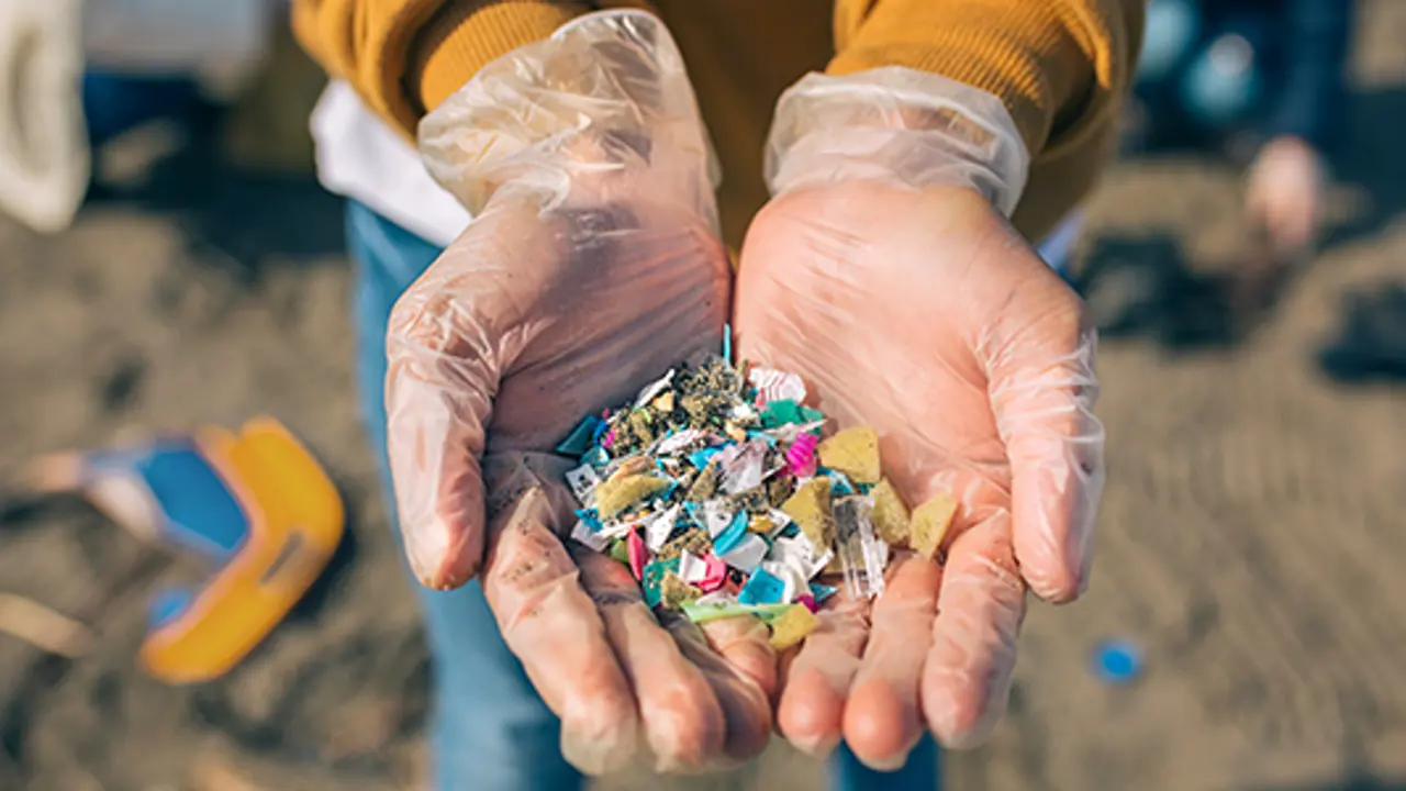 Next on the menu, microplastics