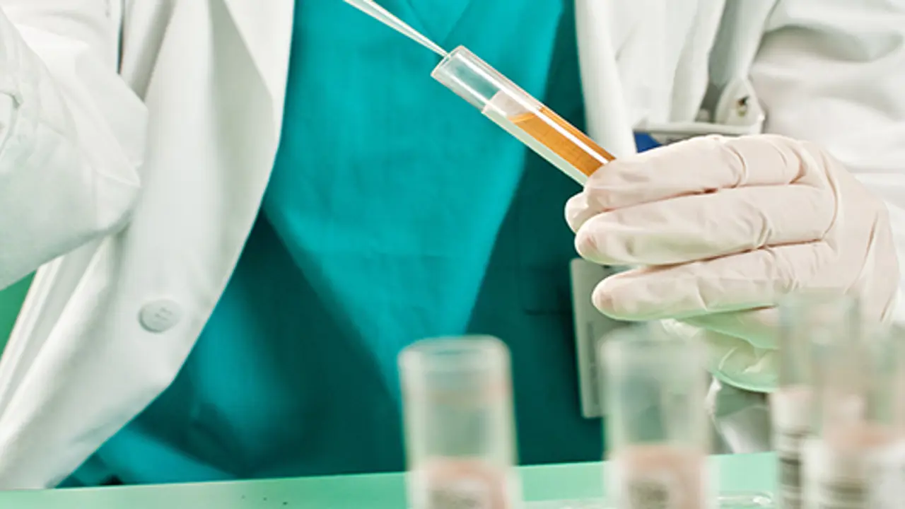 Church community services commend ALP’s stand against drug test trial
