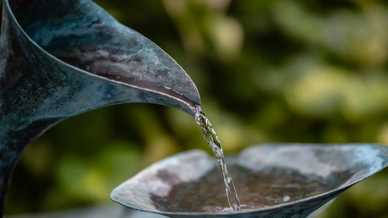 Wellspring of Life