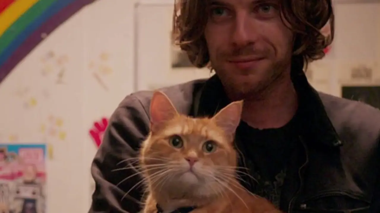 A little movie that sinks its claws in