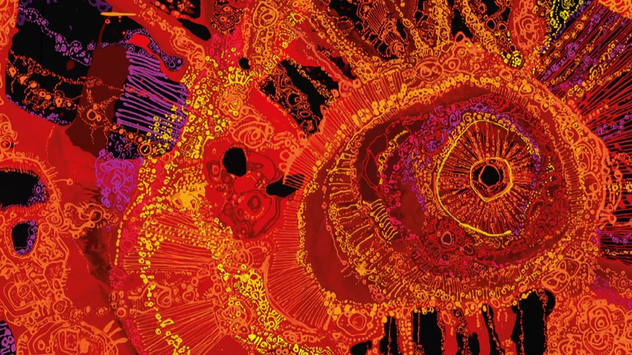 Still Here, Still Deadly, Still Fighting – NAIDOC 2026
