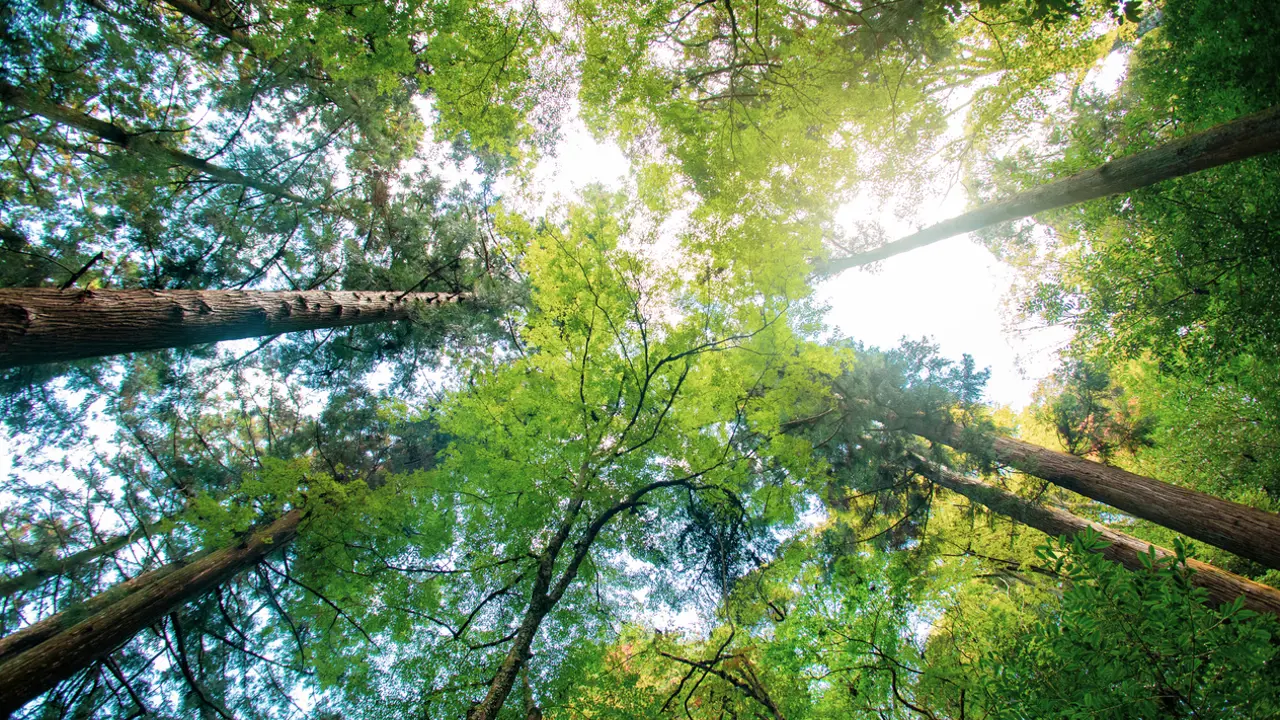 Thinking beyond human perspectives on time