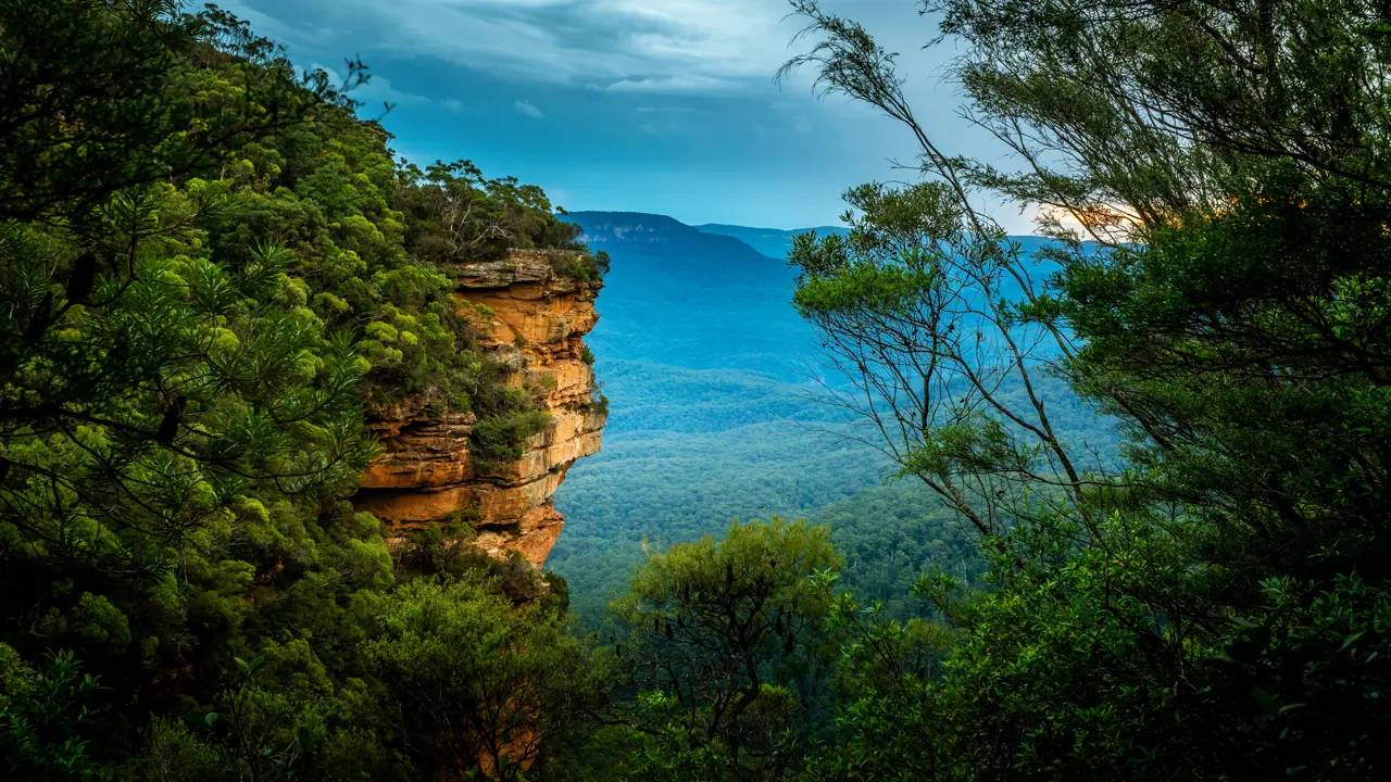 Journey through the wilderness