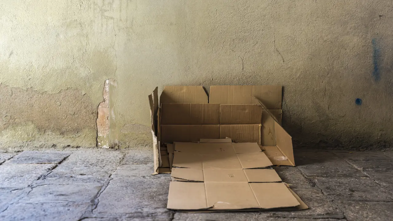 COVID-19 to increase homelessness risk: report