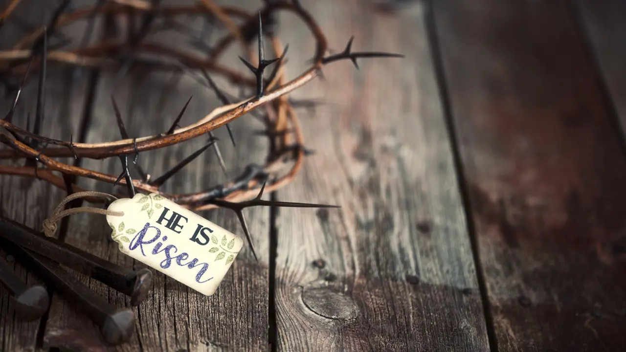 Jesus is Risen! Hallelujah! So why do we so often look for the living among the dead?  