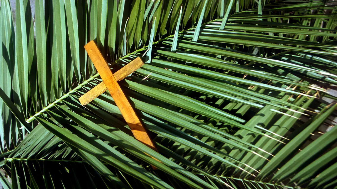 Palm Sunday Peace Rally Moves Online