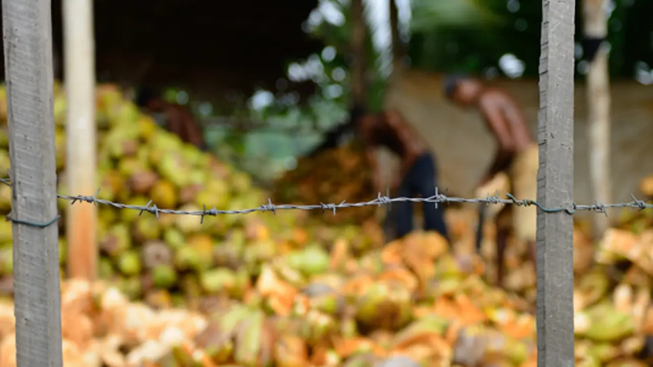 Modern Slavery Act Disappears, Reappears
