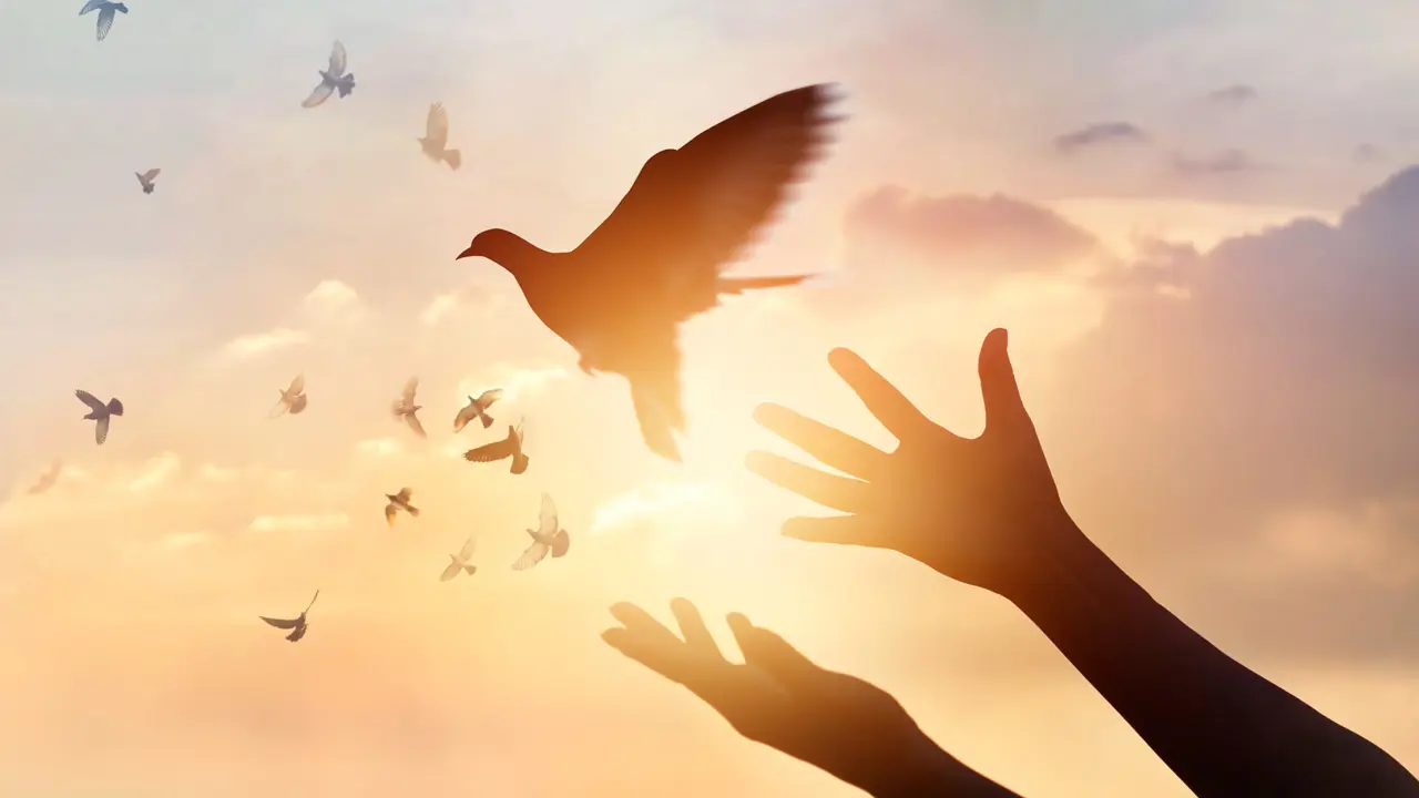 Prayers of Peace