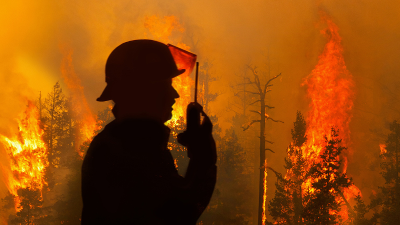 What Australia’s Burning Summer Is Telling Us