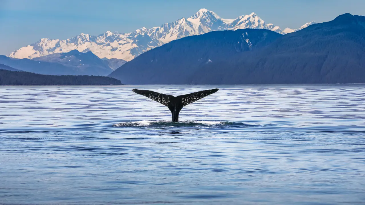 Coming up to the surface