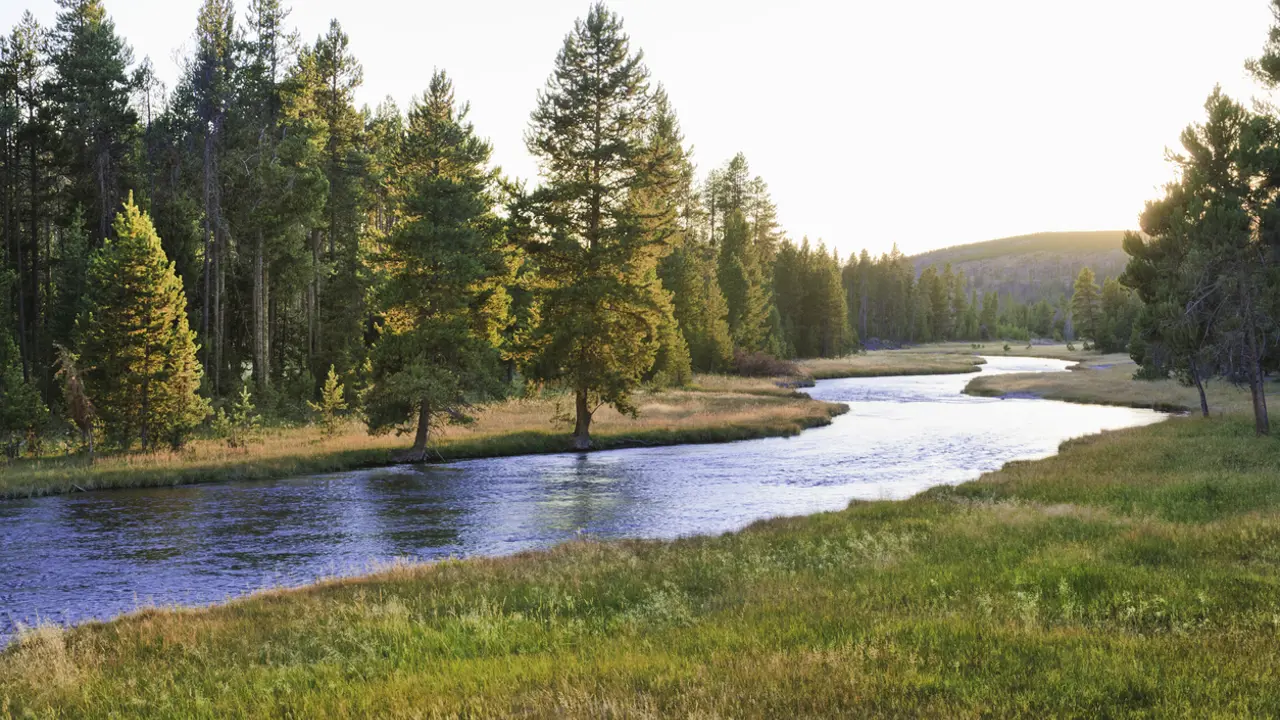 What hope is there for the ecological crisis?