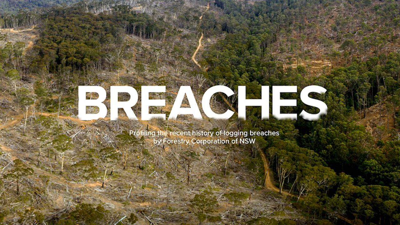 New Book Profiles Logging Breaches by Forestry Corporation