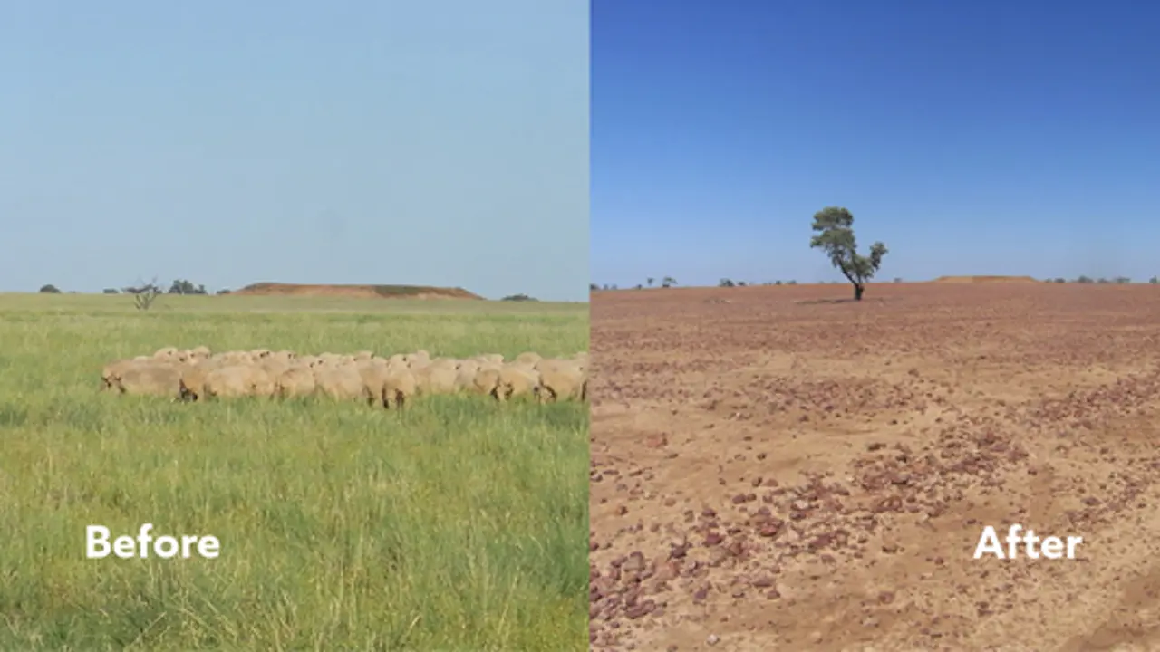 Volunteers on a mission to help drought-ravaged Queensland Farmers