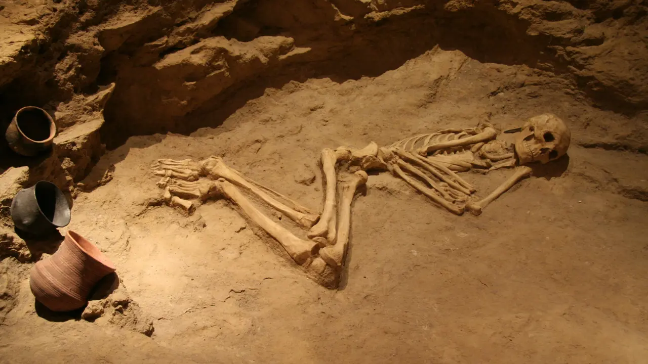 What our past tells us about our future