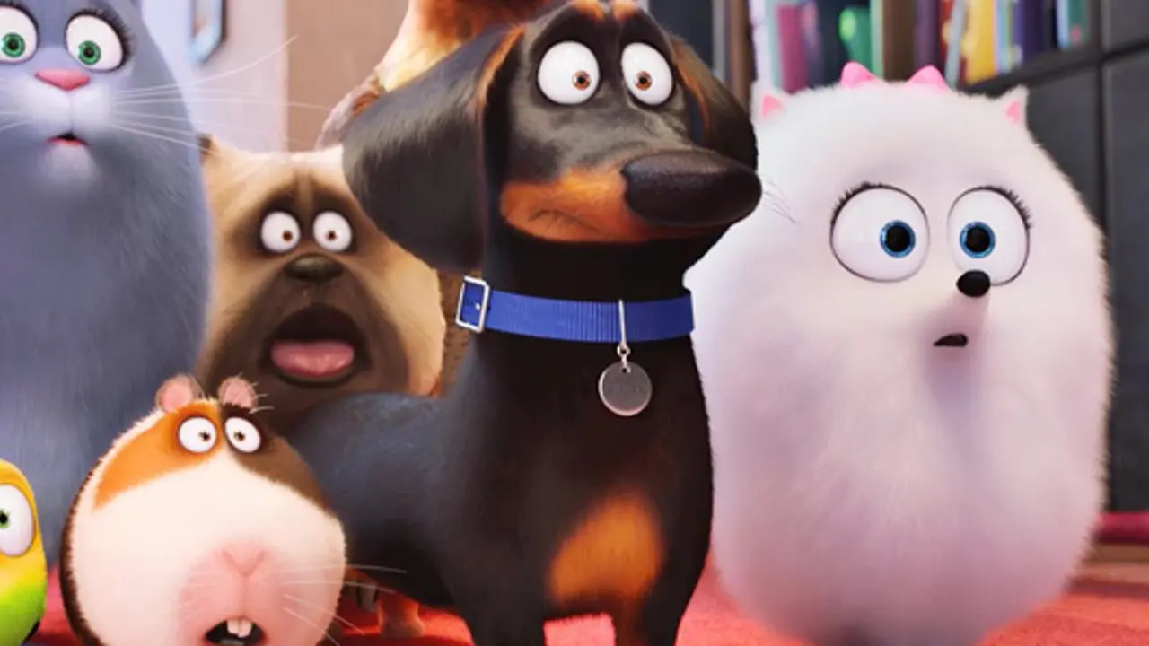 Should you care about the secret life of pets?