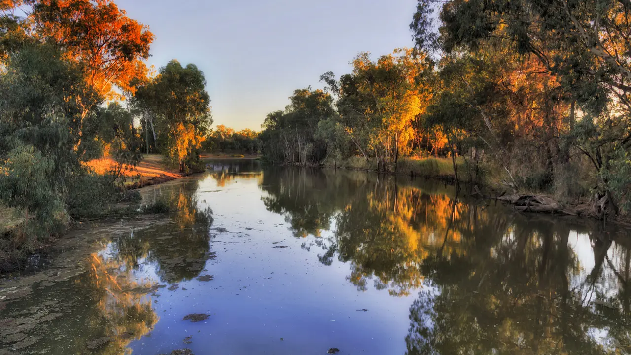 Apply for community grants for climate change projects