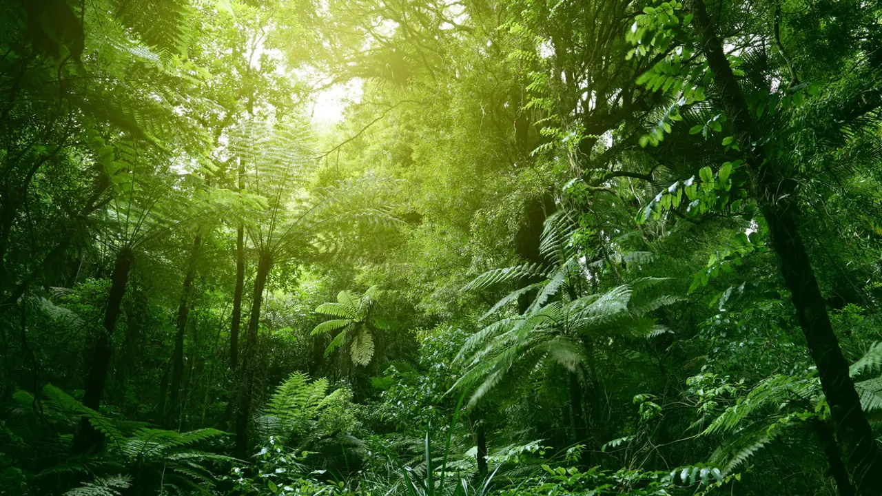 How should we view nature?